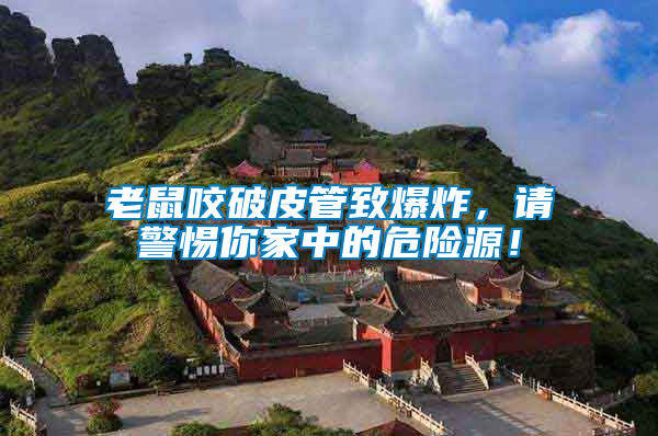 老鼠咬破皮管致爆炸，請(qǐng)警惕你家中的危險(xiǎn)源！