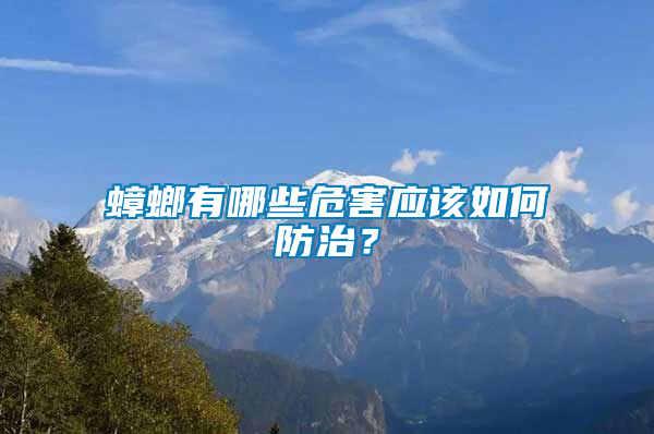 蟑螂有哪些危害應(yīng)該如何防治？