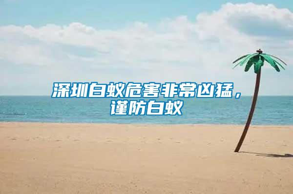 深圳白蟻危害非常兇猛,謹防白蟻