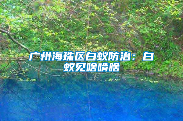 廣州海珠區白蟻防治：白蟻見啥啃啥