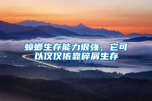 蟑螂生存能力很強，它可以僅僅依靠碎屑生存