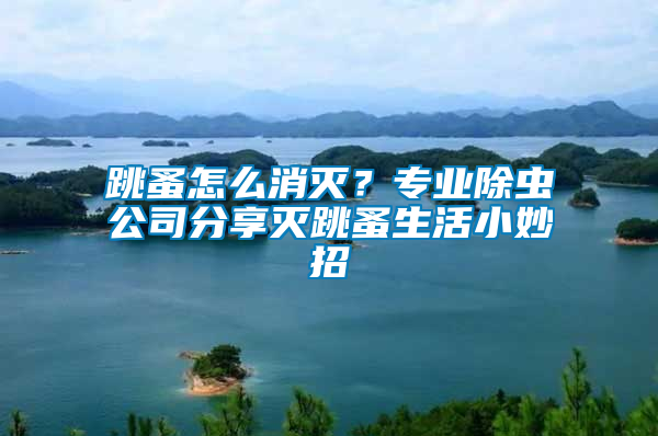 跳蚤怎么消滅？專業(yè)除蟲公司分享滅跳蚤生活小妙招