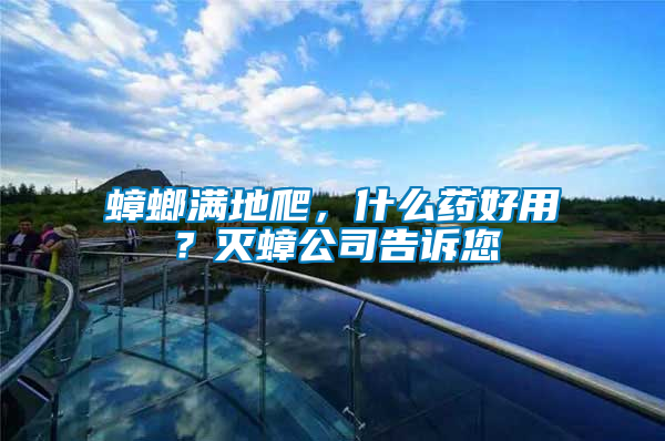 蟑螂滿地爬,什么藥好用?滅蟑公司告訴您