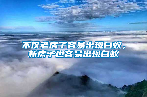 不僅老房子容易出現(xiàn)白蟻，新房子也容易出現(xiàn)白蟻
