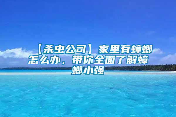 【殺蟲公司】家里有蟑螂怎么辦,帶你全面了解蟑螂小強(qiáng)