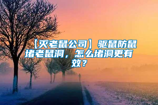 【滅老鼠公司】驅鼠防鼠堵老鼠洞，怎么堵洞更有效？