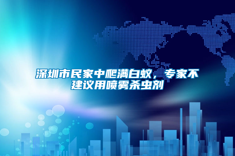 深圳市民家中爬滿白蟻，專家不建議用噴霧殺蟲劑