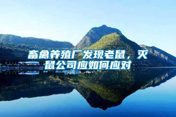 畜禽養殖廠發現老鼠，滅鼠公司應如何應對