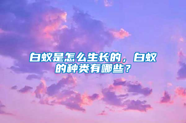 白蟻是怎么生長的，白蟻的種類有哪些？