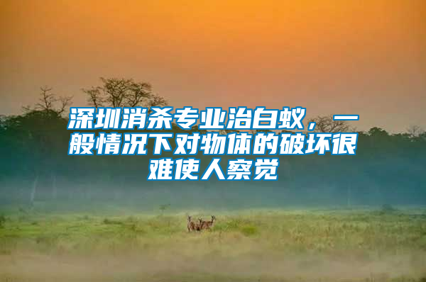 深圳消殺專業治白蟻，一般情況下對物體的破壞很難使人察覺