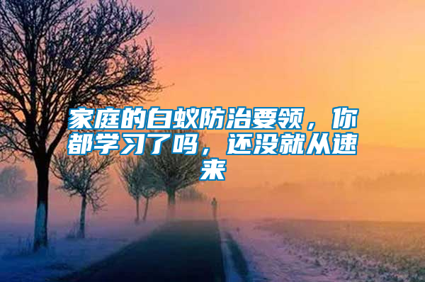 家庭的白蟻防治要領(lǐng)，你都學(xué)習(xí)了嗎，還沒就從速來