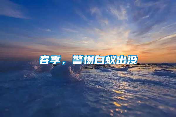 春季，警惕白蟻出沒