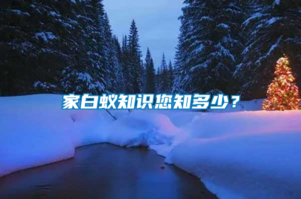 家白蟻知識您知多少？