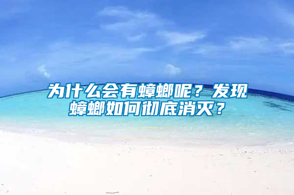 為什么會有蟑螂呢?發現蟑螂如何徹底消滅?